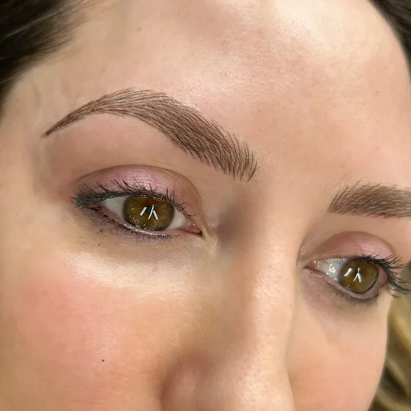 Feather touch brows — warm auburn tone, healed close-up portrait