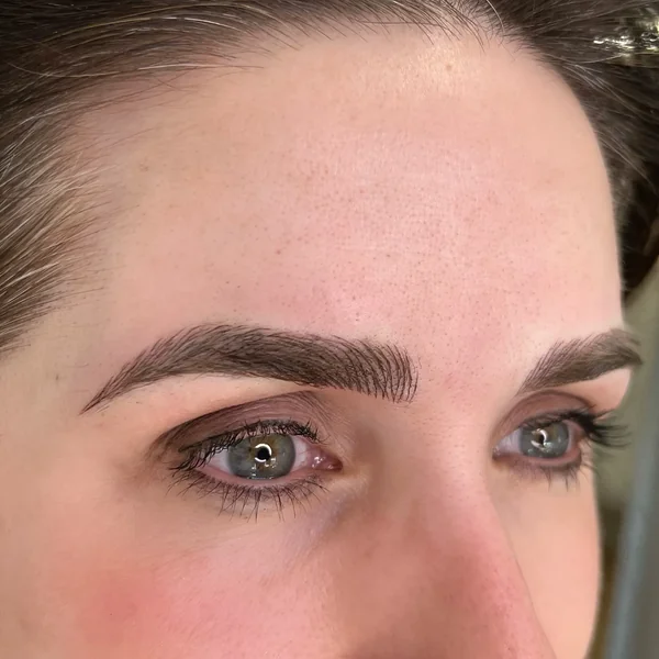 Hair-stroke eyebrow tattoo extreme detail — individual strokes by Lorraine, Gold Coast